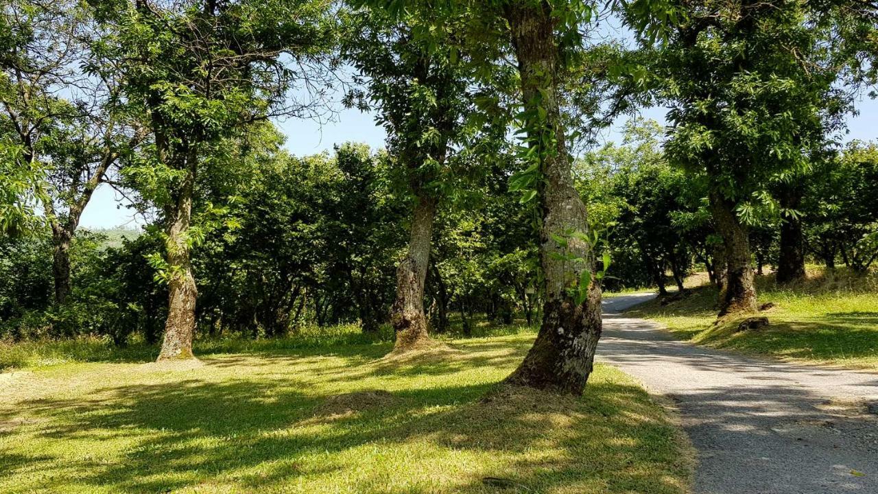 Agriturismo Ricciardelli Willa Contrada  Zewnętrze zdjęcie