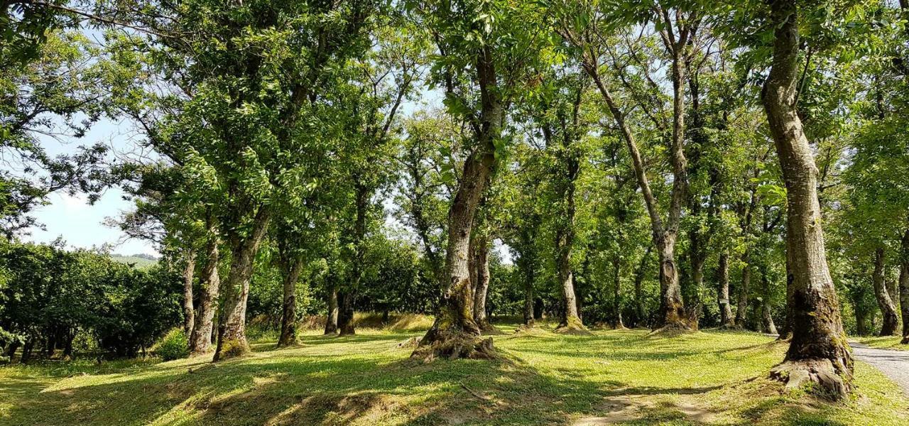 Agriturismo Ricciardelli Willa Contrada  Zewnętrze zdjęcie